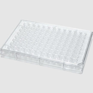 Immunology Box, Polystyrene, a high-quality and durable laboratory storage solution designed for organizing and storing immunology-related reagents, featuring a compact and space-saving design, precise compartmentalization, and a robust polystyrene construction, from Medisurge, a trusted provider of medical and laboratory supplies in Malawi.